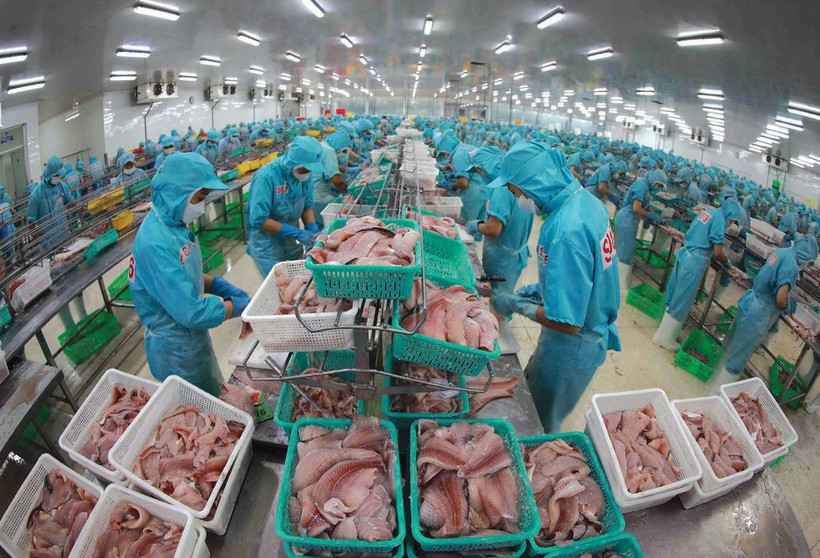 Transformation de produits aquatiques pour l’exportation. Photo : VNA