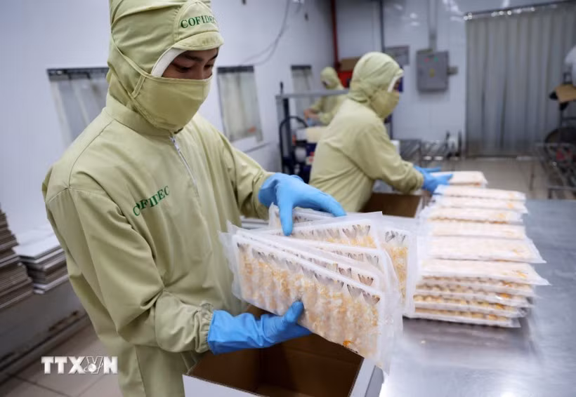 Crevettes conditionnées pour l’exportation vers le Japon. Photo : VNA