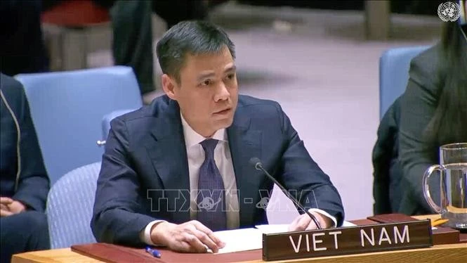 Le représentant permanent du Vietnam auprès des Nations Unies, l’ambassadeur Dang Hoàng Giang s’exprime devant le Conseil de sécurité de l’ONU, à New York. Photo: VNA