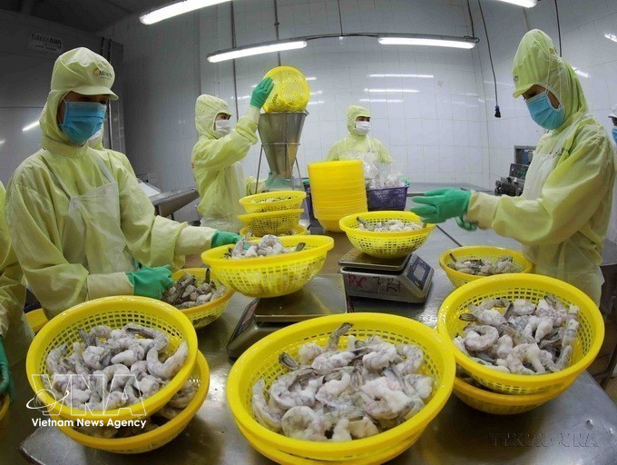 Transformation de crevettes congelées pour l'exportation dans l'usine du groupe Minh Phu, dans la province de Hâu Giang. Photo : VNA