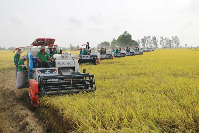 L’agriculture circulaire est une solution efficace pour réduire les coûts et accroître la rentabilité. Photo: VNA