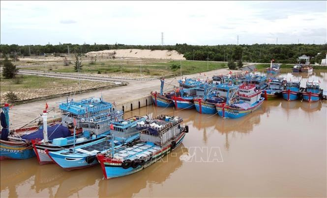 Bateaux de pêche équipés d’équipements de surveillance de croisière dans la province de Quang Binh (Centre). Photo : VNA