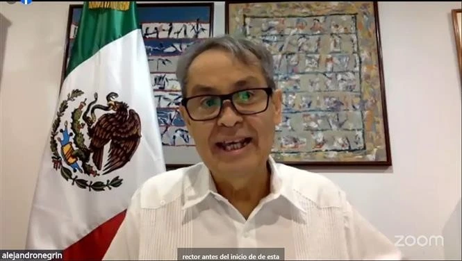 L’ambassadeur du Mexique au Vietnam, Alejandro Negrín, lors du webinaire. Photo: VNA