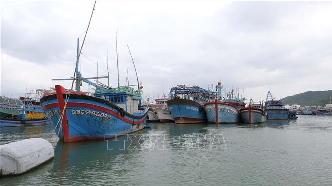 La province de Khanh Hoa surveille de près sa flotte de pêche. Photo : VNA