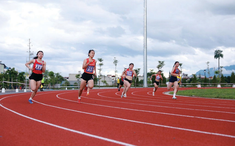 Le développement du sport professionnel repose sur l’amélioration du statut socio-économique des entraîneurs et des athlètes. Photo : VNA