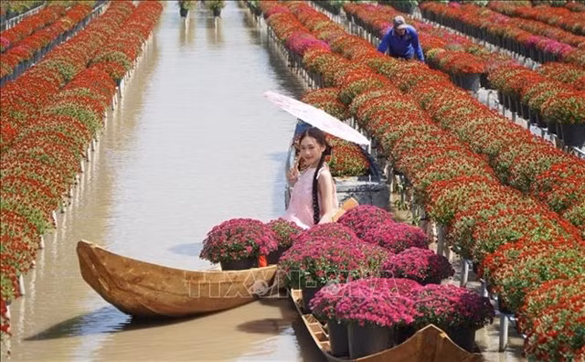Une touriste se fait prendre des photos au jardin de fleurs de Sa Dec, dans la province de Dông Thap. Photo : VNA