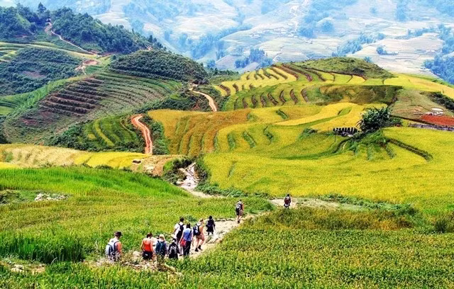 Des touristes étrangers font une randonnée à Sa Pa, au cœur de la zone touristique nationale. Photo : toptentravel.com.vn