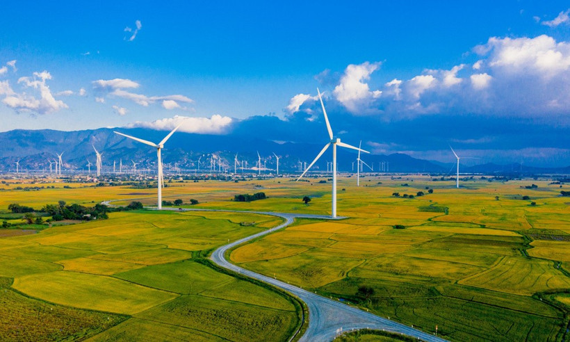 Un parc éolien dans la province de Khanh Hoa. Photo : tapchicongthuong.vn
