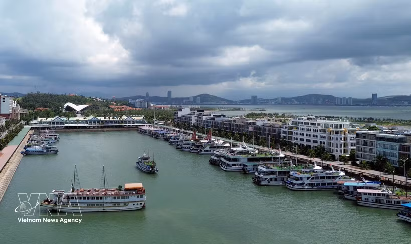 Flotte touristique de Ha Long au port international de Tuân Châu (province de Quang Ninh). Photo: VNA