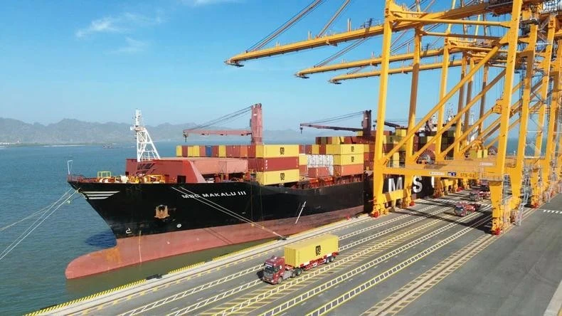 Le navire MSC Makalu III transportait 484 conteneurs de marchandises importées, soit 829 EVP (équivalents vingt pieds). Photo : NDEL