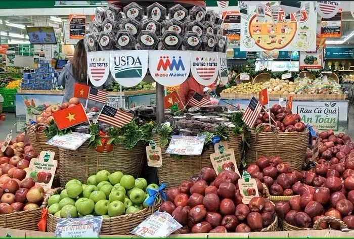 En 2024, la pomme s’est imposée comme le fruit le plus importé au Vietnam, avec un chiffre d’affaires de 275,3 millions de dollars, soit une augmentation de 18 % par rapport à 2023. Les importations de pommes américaines, quant à elles, ont bondi de 58,3 %. Photo: NDEL