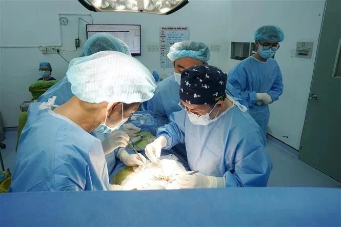 Des médecins de l’hôpital Thông Nhât effectuent une greffe de rein à partir d’un rein provenant du donneur en état de mort cérébrale. Photo : VNA