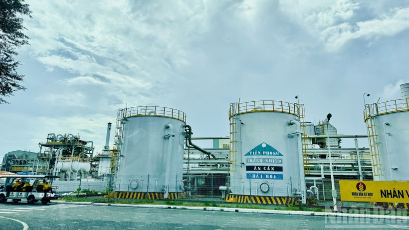 Dans le parc industriel de Cà Mau (Sud). Photo: NDEL