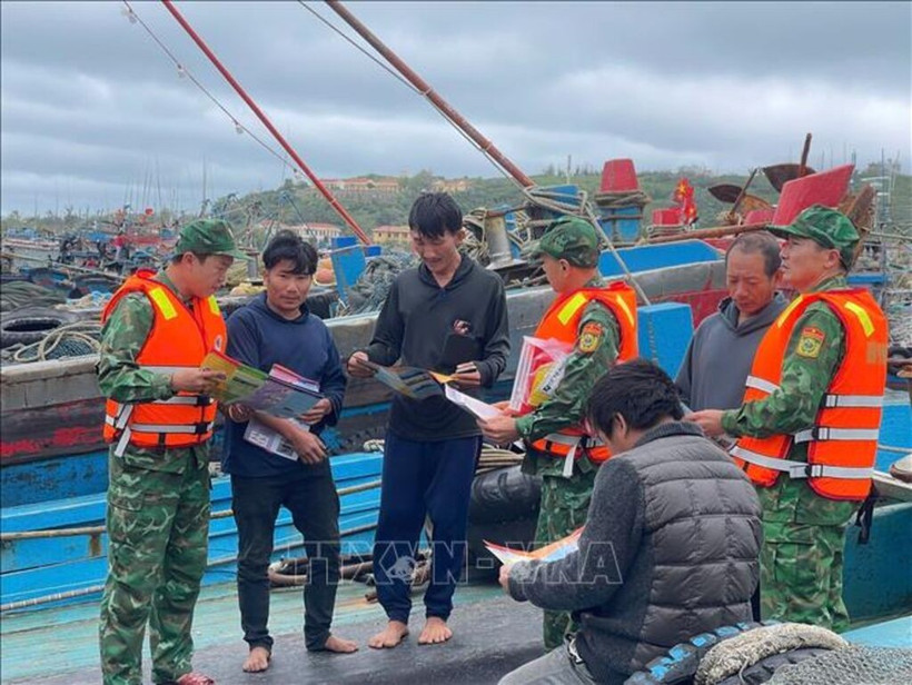 Les gardes-frontières se coordonnent avec les garde-côtes pour sensibiliser les pêcheurs à la lutte contre la pêche illicite, non déclarée et non réglementée (INN) au port de Bach Long Vi, à Quang Ninh. Photo :VNA