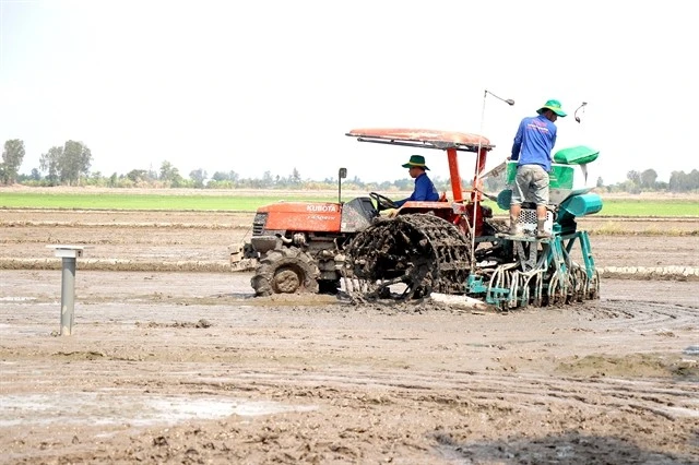 Les agriculteurs de la ville de Cân Tho effectuent le semis dans les champs dans le cadre du Projet de développement durable d’un million d’hectares de riziculture de haute qualité et à faibles émissions, associés à une croissance verte dans le delta du Mékong pour 2030. Photo : VNA