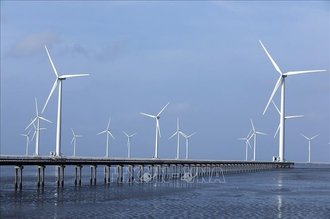 Des éoliennes construites au large de la province de Cà Mau. Photo : VNA