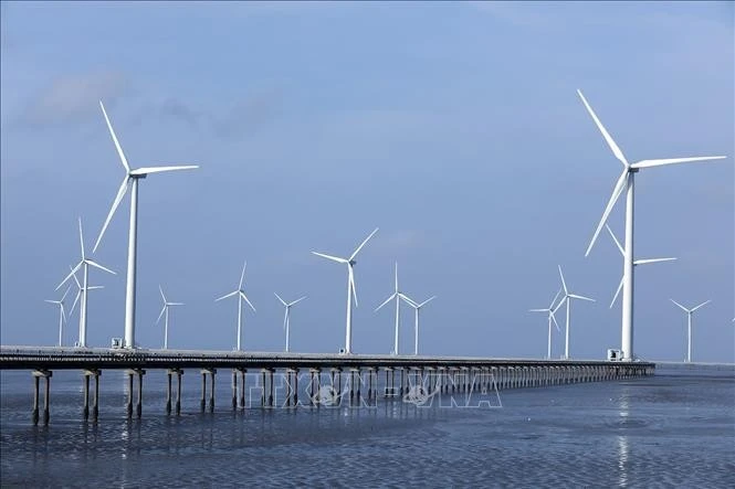 Des éoliennes construites au large de la province de Cà Mau. Photo : VNA