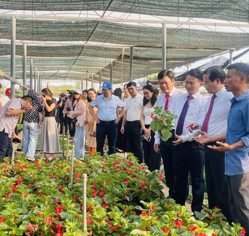 Visiteurs au village horticole de Tich Giang, le 18 octobre. Photo : VNA