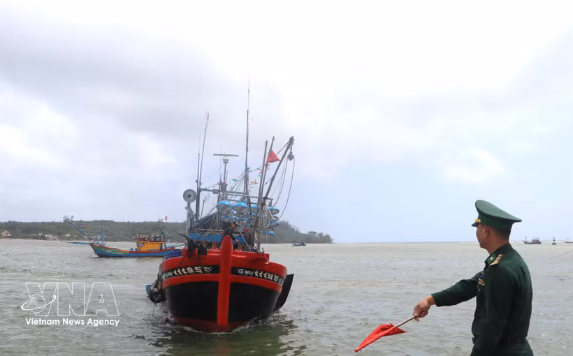 Quang Ngai renforce la lutte contre la pêche INN en vue du retrait de l’avertissement de "carton jaune" sur les exportations de produits aquatiques vietnamiens. Photo: VNA