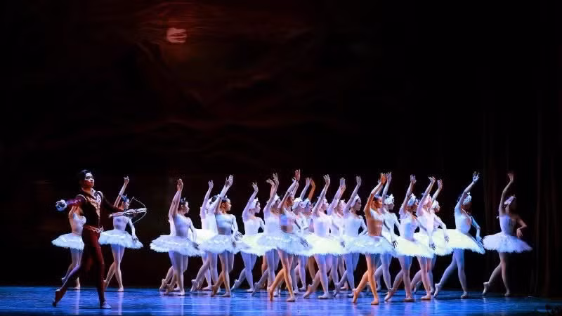 Le "Le Lac des Cygnes" promet d’envoûter l’Opéra de Hô Chi Minh-Ville. Photo: NDEL