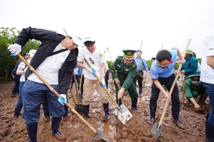 Des représentants de Panasonic ont planté des arbres en compagnie de représentants du journal Agriculture et Environnement et des autorités locales. Photo: Panasonic Vietnam
