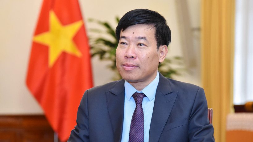 Le vice-ministre des Affaires étrangères Nguyên Manh Cuong. Photo : VNA
