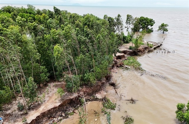 Le delta du Mékong renforce les moyens contre l’érosion riveraine et côtière