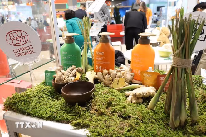 Produits de shampoing bio de l’entreprise vietnamienne Co Cay Hoa La présentés au salon Biofach 2025. Photo : VNA