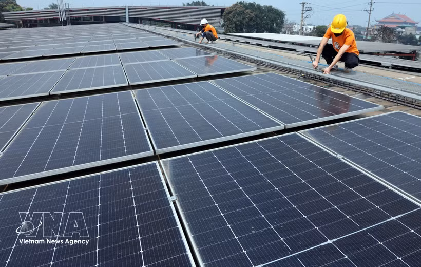 Les ressources de la main-d’œuvre ESG au Vietnam laissent encore à désirer tant en quantité qu'en qualité. Photo : VNA