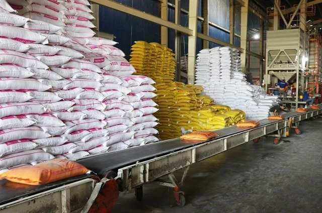 Une usine de transformation du riz dans la province de Tiên Giang, dans le delta du Mékong. Photo : VNA