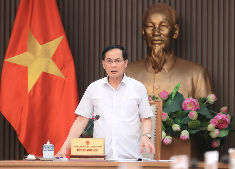 Le vice-Premier ministre et ministre des Affaires étrangères, Bui Thanh Son, s’exprime lors de la réunion. Photo : VNA