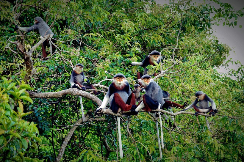 L'alignement des objectifs relatifs à la biodiversité et au climat favorise un développement durable. Photo d'illustration: tainguyenmoitruong.gov.vn