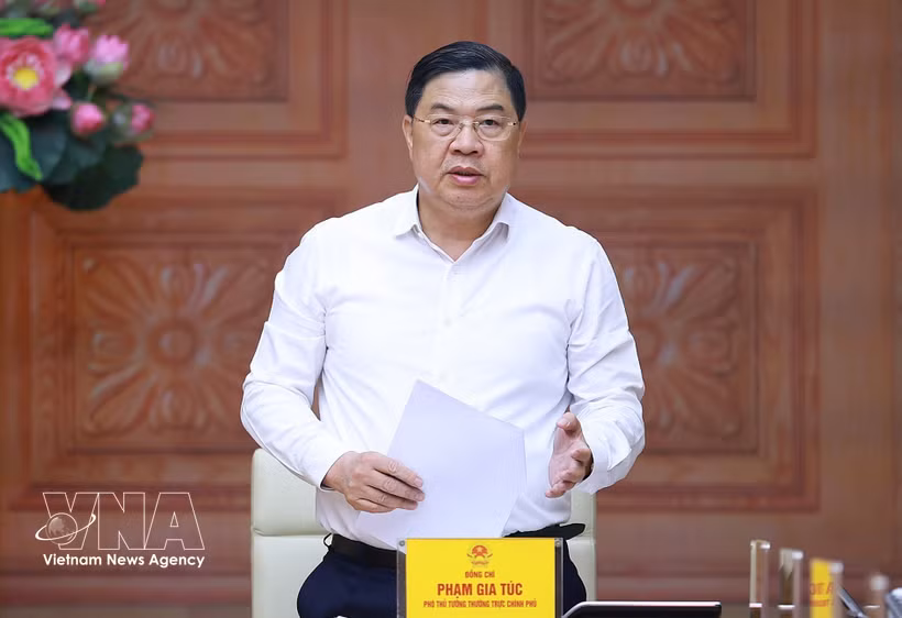 Le vice-Premier ministre permanent Pham Gia Tuc. Photo : VNA