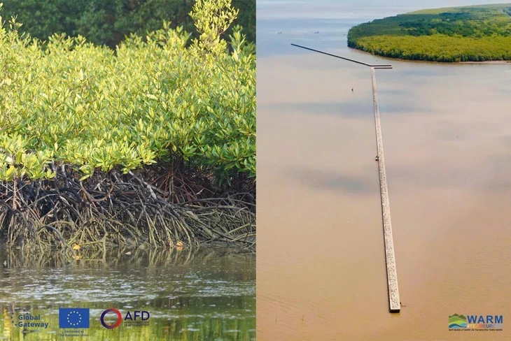 Des digues seront construites le long de la côte ouest pour renforcer la protection côtière