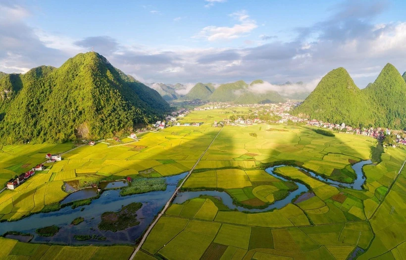 Un immense tapis de champs verts alternant avec des champs dorés sous le soleil dans la vallée de Bac Son, province de Lang Son. Photo: VNA