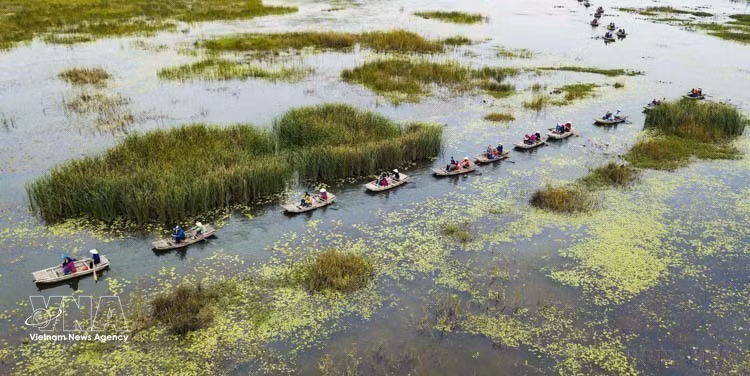 La Réserve naturelle submergée de Vân Long, à Ninh Binh, est non seulement un site touristique attractif, mais aussi une destination prisée des biologistes en raison de sa riche biodiversité. Photo: VNA