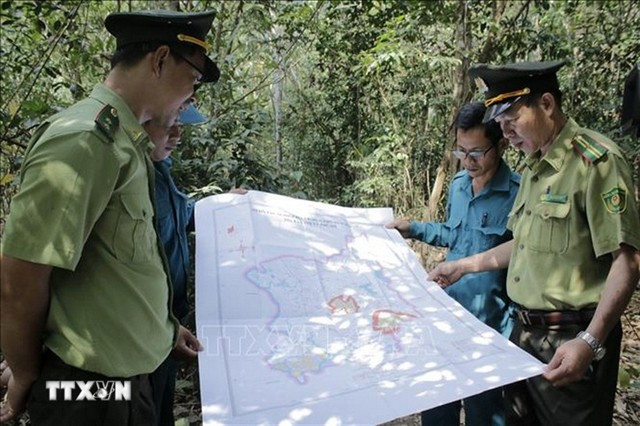 Des gardes forestiers patrouillent dans la forêt de protection de Nui Dinh, dans le quartier de Phu My, à Hô Chi Minh-Ville. Photo : VNA