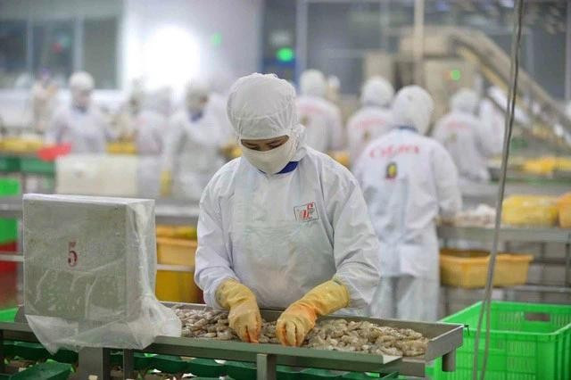 La reconnaissance officielle par les États-Unis de l'équivalent du système vietnamien de contrôle de la sécurité alimentaire de poisson tra vietnamien exporté vers les Etats-Unis rehausse la confiance des importateurs américains, contribuant à augmenter le volume et la valeur d’exportation de ce produit. Photo: VNA