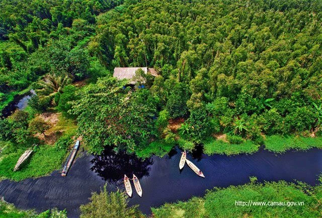 La forêt d'U Minh, située à proximité du golfe de Thaïlande, sur le territoire des provinces de Kiên Giang et de Cà Mau. Photo: www.camau.gov.vn