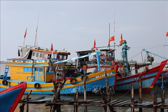 Bateaux de pêche aux anchois dans des pêcheurs de Hô Chi Minh-Ville. Photo: VNA