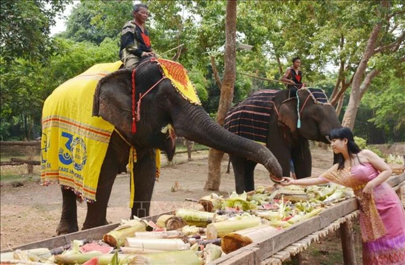 Des éléphants participant aux activités touristiques responsables sont vêtus de tissus de brocart pour se protéger du soleil et sont décorés de motifs sur leur tête. Photo: VNA