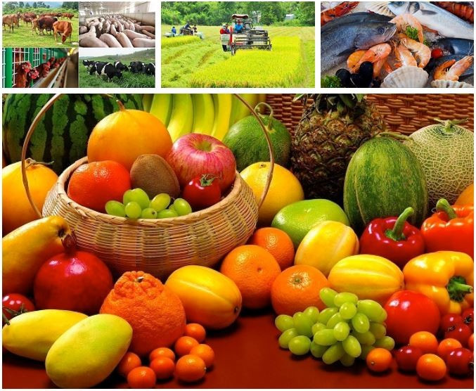 Photo d'illustration: VNA