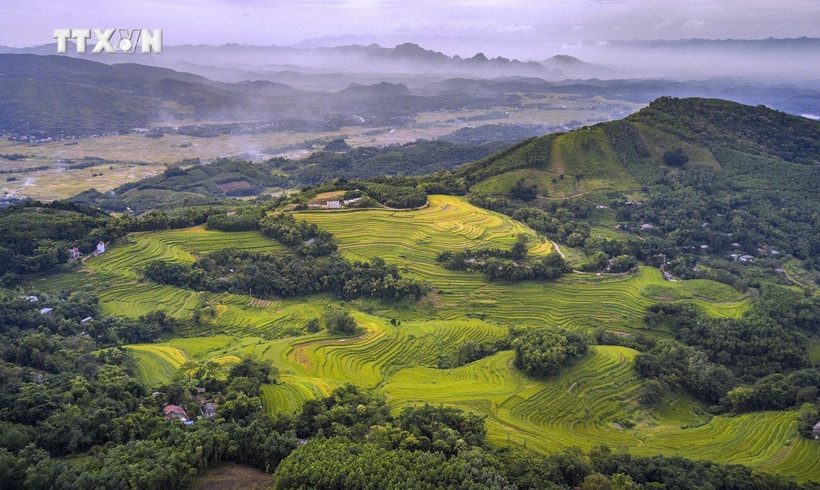 Dans le district de Miên Dôi, les collines sont parsemées de champs en terrasses et d'arbres forestiers. Photo : baotintuc.vn