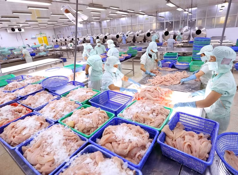 L’année dernière, les exportations de produits aquatiques ont franchi la barre des 10 milliards de dollars, soit une augmentation annuelle de plus de 12%. Photo: VNA