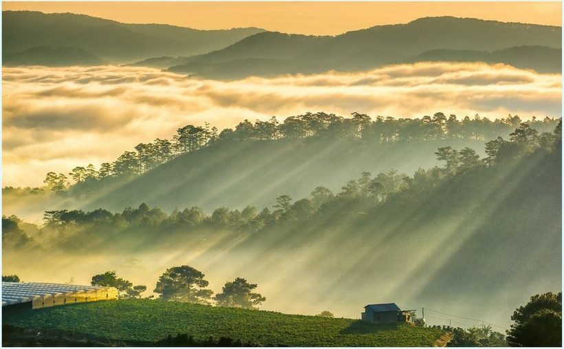 Les voyageurs ne devraient pas manquer le spectacle de la brume matinale qui emplit la vallée et crée un manteau recouvrant le village montagneux de Da Lat, au Vietnam. Photo: luhanhtour.com