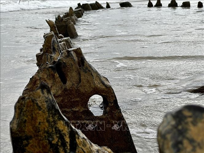 Une épave centenaire refait surface au large de Hôi An après le passage du typhon Kalmaegi. Photo: VNA