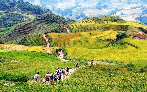 Dans le nord-ouest du Vietnam, Lào Cai dévoile ses rizières en gradins, sculptées avec art par les ethnies H’mông et Dao rouges. Photo: ST