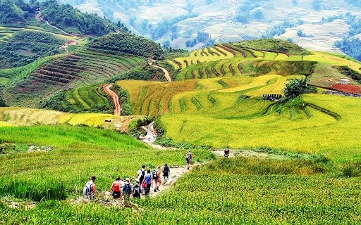 Dans le nord-ouest du Vietnam, Lào Cai dévoile ses rizières en gradins, sculptées avec art par les ethnies H’mông et Dao rouges. Photo: ST