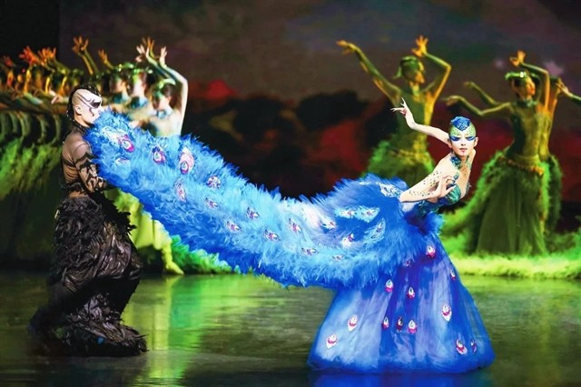 Des danseuses interprètent le paon dans une scène du ballet "Le Paon de Hanoi 2026", créé par la célèbre chorégraphe chinoise Yang Liping et récemment présenté à Hanoi. Photo : gracieuseté des organisateurs