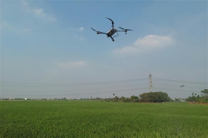 La pulvérisation par drone de produits phytosanitaires est autorisée à certaines conditions. Photo: VNA